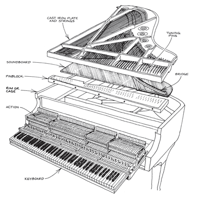 Piano Parts and Sizes