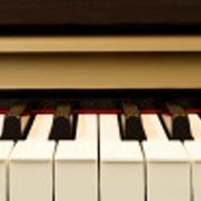 Larry's Blog -   Guest Blog    The American piano industry voluntarily abandoned ivory as a key-covering material and switched to plastic in the mid-1950s. By the 1980s, European makers had taken the same path. Since then, the piano-manufacturing industry has not b...