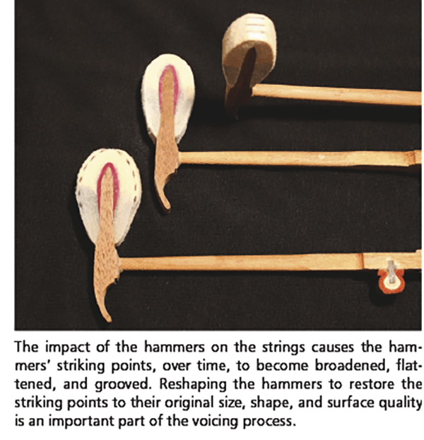 The impact of the hammers on the strings causes the hammers' striking points, over time, to become broadened, flattened, and grooved. Reshaping the hammers to restore the striking points to their original size, shape, and surface quality is an important part of the voicing process.