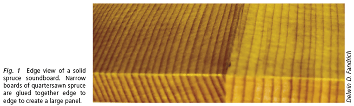 Edge view of a solid spruce soundboard. Narrow boards of quartersawn spruce are glued together edge to edge to create a large panel.