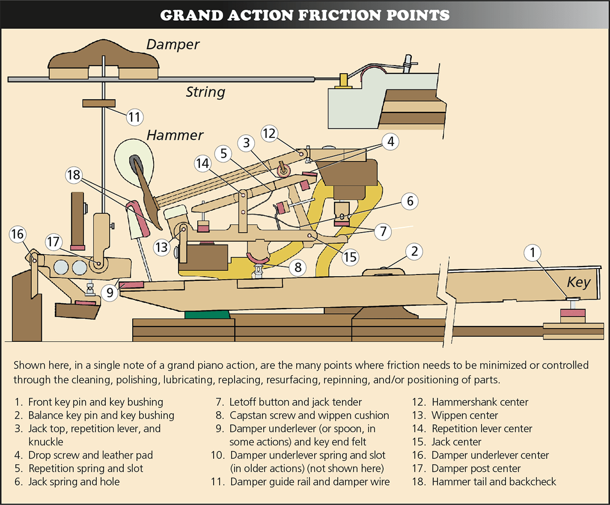 Grand Action Friction Points. Shown here, in a single note of a grand piano action, are the many points where friction needs to be minimized or controlled through the cleaning, polishing, lubricating, replacing, resurfacing, repinning, and/or positioning of parts.