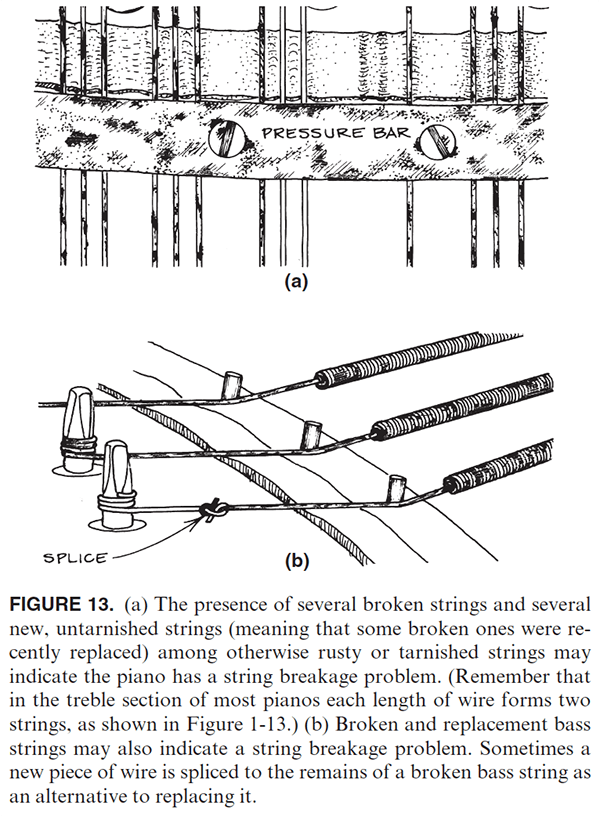 FIGURE 13. (a) The presence of several broken strings and several new, untarnished strings (meaning that some broken ones were recently replaced) among otherwise rusty or tarnished strings may indicate the piano has a string breakage problem. (Remember that in the treble section of most pianos each length of wire forms two strings, as shown in Figure 1-13.) (b) Broken and replacement bass strings may also indicate a string breakage problem. Sometimes a new piece of wire is spliced to the remains of a broken bass string as an alternative to replacing it.