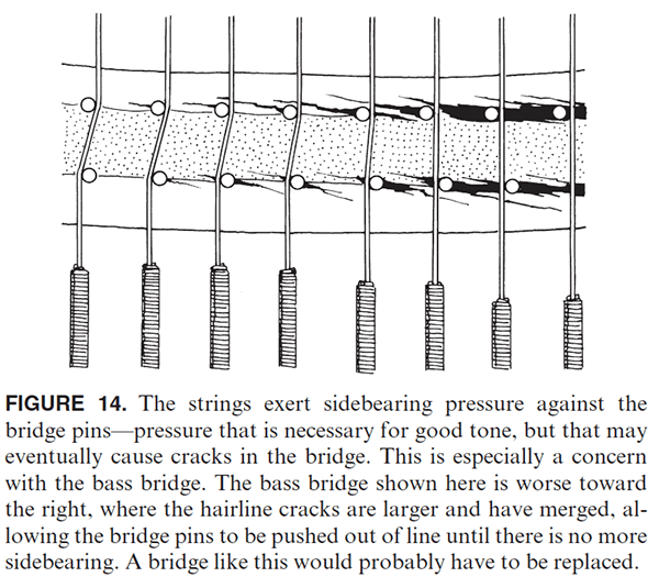 FIGURE 14. The strings exert sidebearing pressure against the bridge pins — pressure that is necessary for good tone, but that may eventually cause cracks in the bridge. This is especially a concern with the bass bridge. The bass bridge shown here is worse toward the right, where the hairline cracks are larger and have merged, allowing the bridge pins to be pushed out of line until there is no more sidebearing. A bridge like this would probably have to be replaced.
