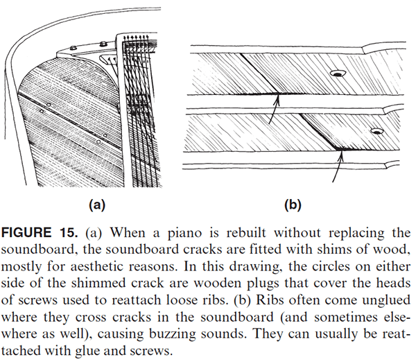 FIGURE 15. (a) When a piano is rebuilt without replacing the soundboard, the soundboard cracks are fitted with shims of wood, mostly for aesthetic reasons. In this drawing, the circles on either side of the shimmed crack are wooden plugs that cover the heads of screws used to reattach loose ribs. (b) Ribs often come unglued where they cross cracks in the soundboard (and sometimes elsewhere as well), causing buzzing sounds. They can usually be reattached with glue and screws.
