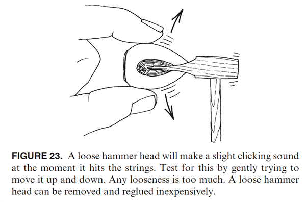 FIGURE 23. A loose hammer head will make a slight clicking sound at the moment it hits the strings. Test for this by gently trying to move it up and down. Any looseness is too much. A loose hammer head can be removed and reglued inexpensively.