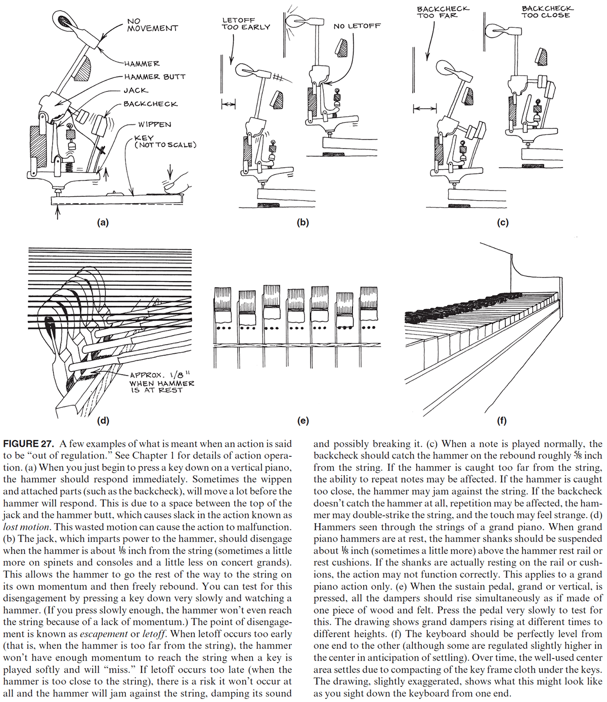FIGURE 27. A few examples of what is meant when an action is said to be out of regulation. See Chapter 1 for details of action operation. (a) When you just begin to press a key down on a vertical piano, the hammer should respond immediately. Sometimes the wippen and attached parts (such as the backcheck), will move a lot before the hammer will respond. This is due to a space between the top of the jack and the hammer butt, which causes slack in the action known as lost motion. This wasted motion can cause the action to malfunction. (b) The jack, which imparts power to the hammer, should disengage when the hammer is about ⅛ inch from the string (sometimes a little more on spinets and consoles and a little less on concert grands). This allows the hammer to go the rest of the way to the string on its own momentum and then freely rebound. You can test for this disengagement by pressing a key down very slowly and watching a hammer. (If you press slowly enough, the hammer won't even reach the string because of a lack of momentum.) The point of disengagement is known as escapement or letoff. When letoff occurs too early (that is, when the hammer is too far from the string), the hammer won't have enough momentum to reach the string when a key is played softly and will miss. If letoff occurs too late (when the hammer is too close to the string), there is a risk it won't occur at all and the hammer will jam against the string, damping its sound and possibly breaking it. (c) When a note is played normally, the backcheck should catch the hammer on the rebound roughly ⅝ inch from the string. If the hammer is caught too far from the string, the ability to repeat notes may be affected. If the hammer is caught too close, the hammer may jam against the string. If the backcheck doesn't catch the hammer at all, repetition may be affected, the hammer may double-strike the string, and the touch may feel strange. (d) Hammers seen through the strings of a grand piano. When grand piano hammers are at rest, the hammer shanks should be suspended about ⅛ inch (sometimes a little more) above the hammer rest rail or rest cushions. If the shanks are actually resting on the rail or cushions, the action may not function correctly. This applies to a grand piano action only. (e) When the sustain pedal, grand or vertical, is pressed, all the dampers should rise simultaneously as if made of one piece of wood and felt. Press the pedal very slowly to test for this. The drawing shows grand dampers rising at different times to different heights. (f) The keyboard should be perfectly level from one end to the other (although some are regulated slightly higher in the center in anticipation of settling). Over time, the well-used center area settles due to compacting of the key frame cloth under the keys. The drawing, slightly exaggerated, shows what this might look like as you sight down the keyboard from one end.